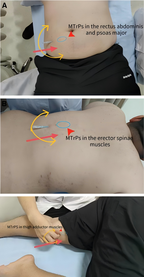 WPS拼图0.png